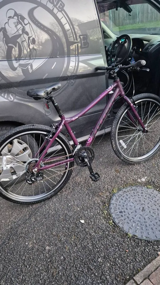 Carrera mountain bike - Image 2