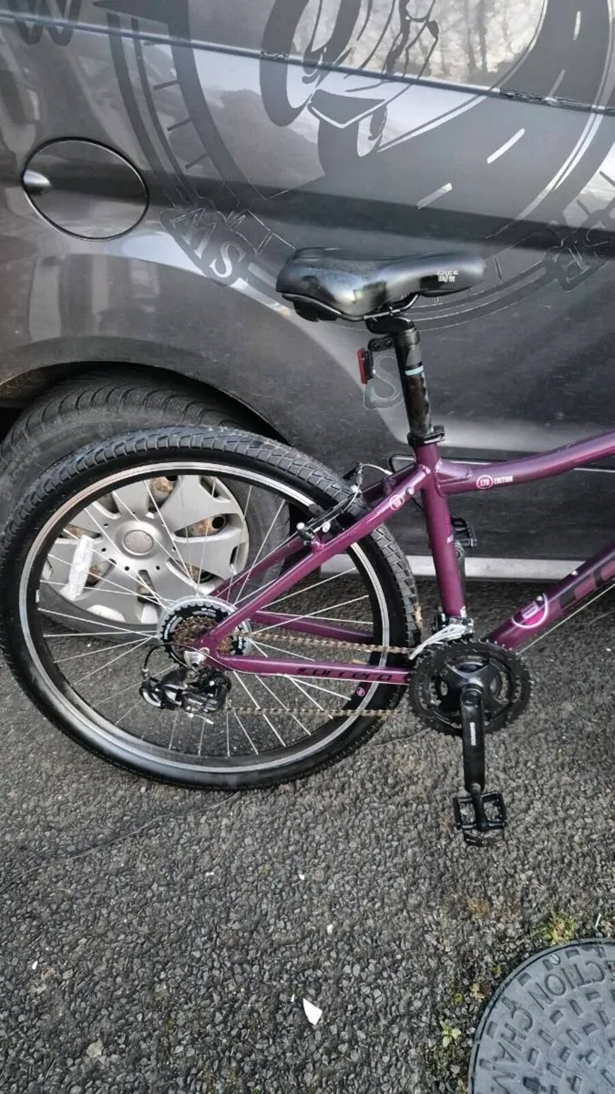 Carrera mountain bike - Image 3