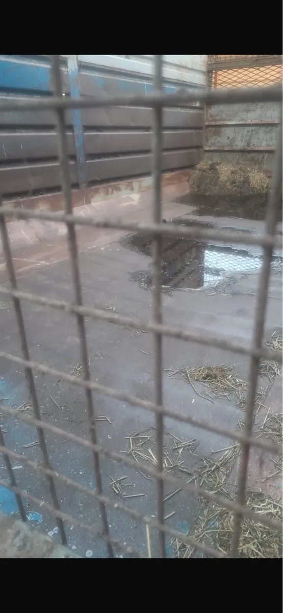 Kane trailer - Image 4