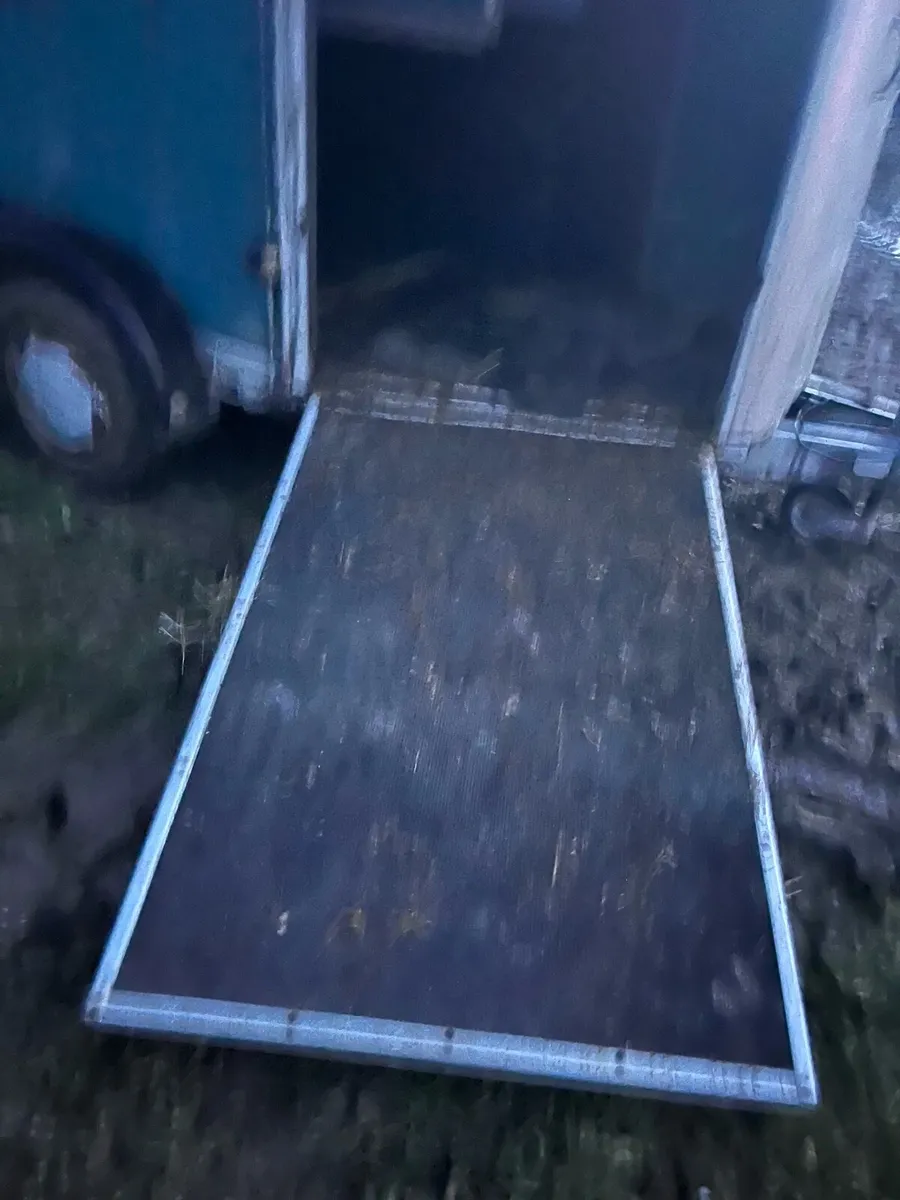 Ivor Williams Hunter box - Image 3