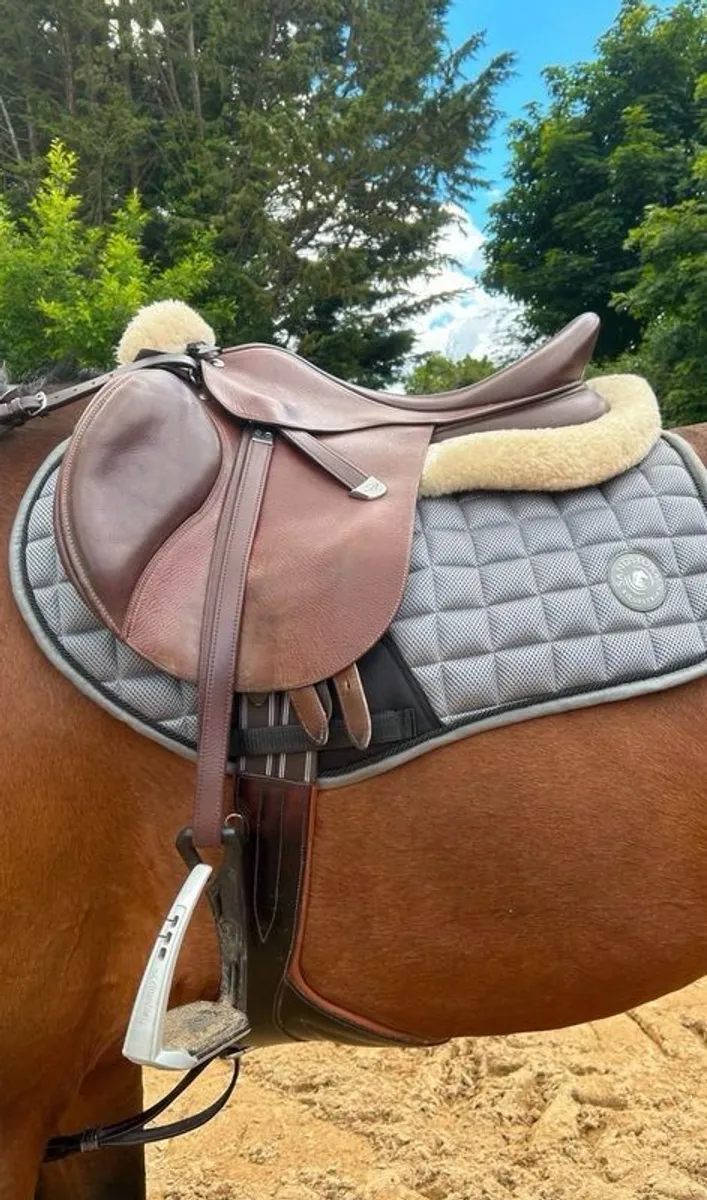Bates GP Saddle - Image 1