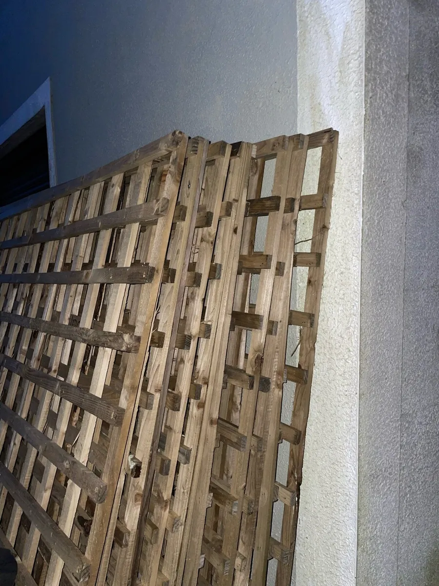 6ft X 6ft Trellis - Image 2