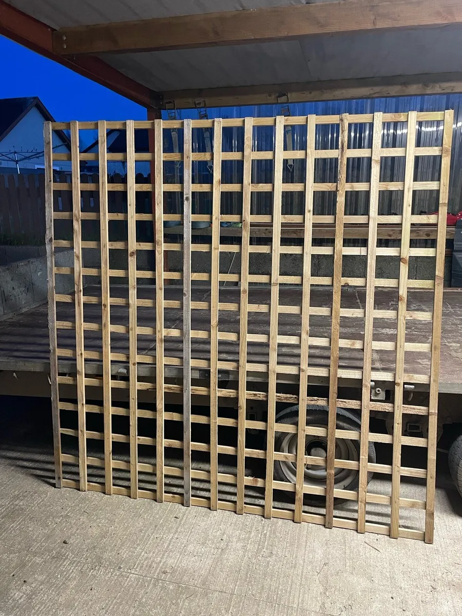 6ft X 6ft Trellis - Image 1