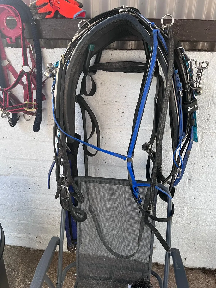 Pony Cart and Harness - Image 4