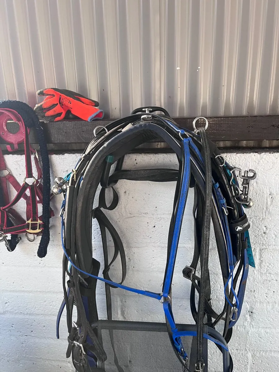 Pony Cart and Harness - Image 2