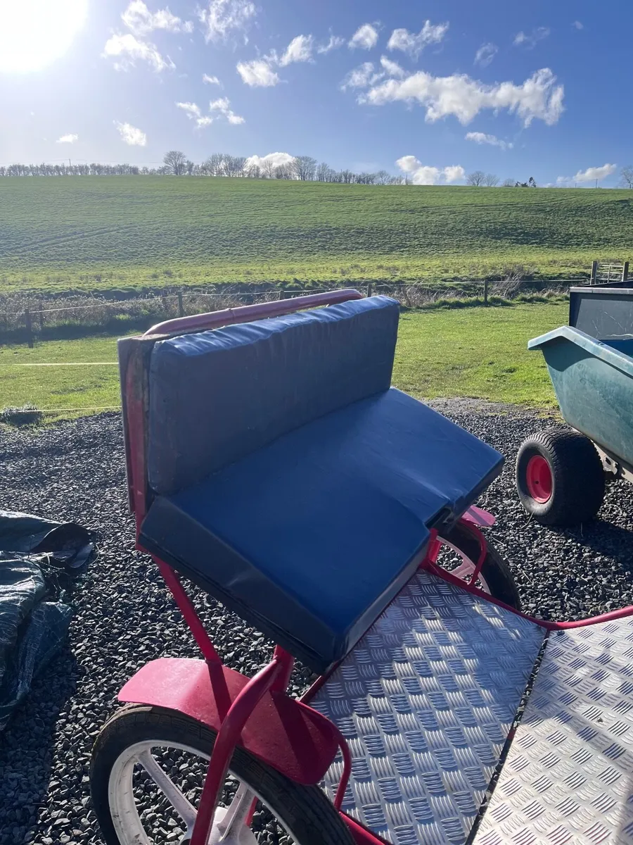 Pony Cart and Harness - Image 3