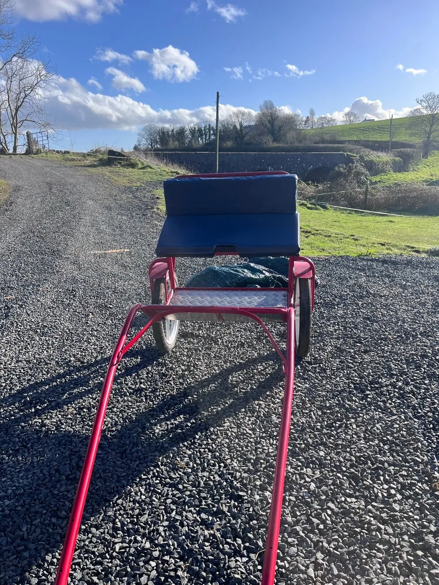 Pony Cart and Harness - Image 1
