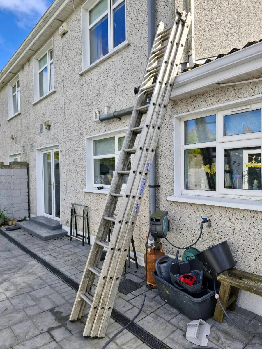 ladder 30ft - Image 1