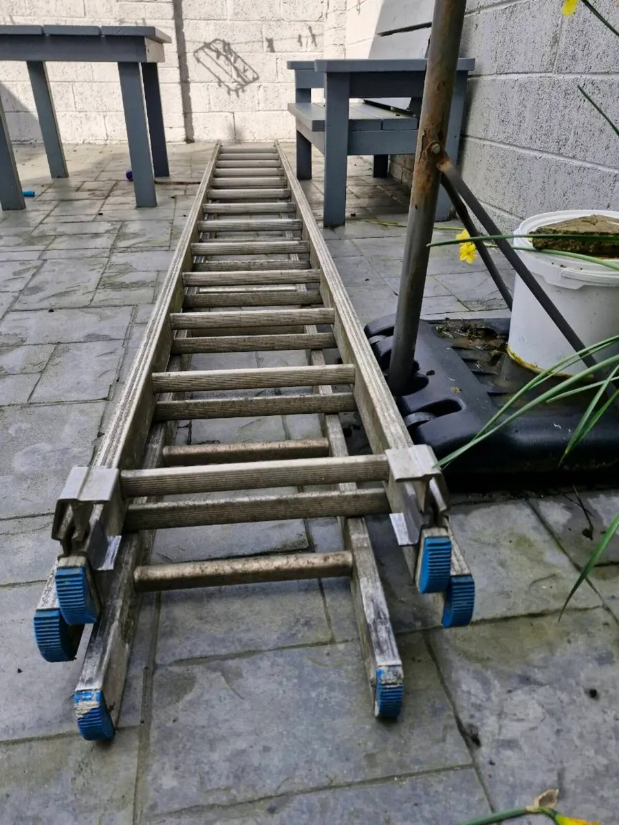 ladder 30ft - Image 2