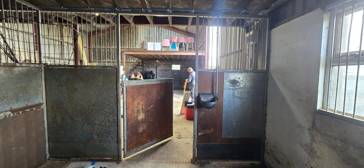 Internal Stables - 12ft x 12ft - Great Condition - Image 4