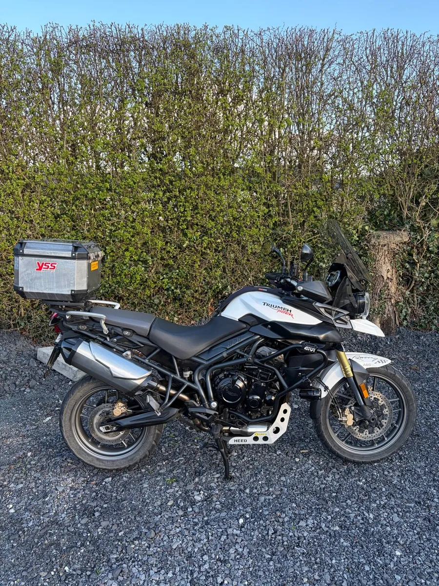 Triump tiger - Image 2