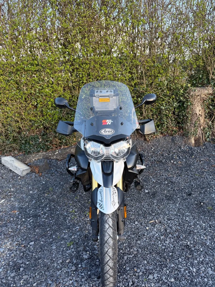 Triump tiger - Image 3