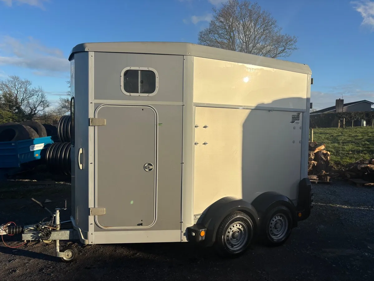 IFOR WILLIAMS HB506 SILVER MINT - Image 2