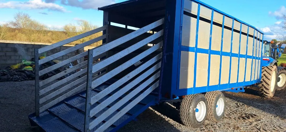 Johnson 20FT cattle Trailer - Image 1