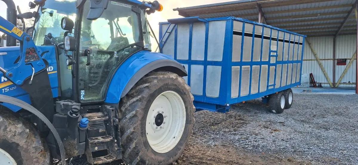 Johnson 20FT cattle Trailer - Image 2