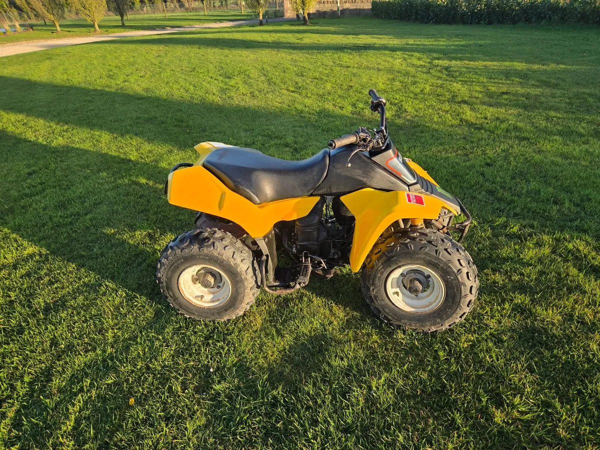 LT 80 Suzuki - Image 2