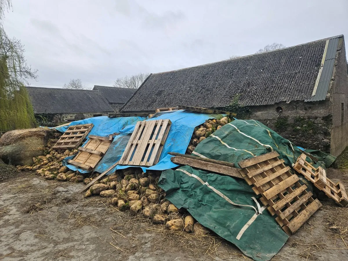 Fodder Beat - Image 2