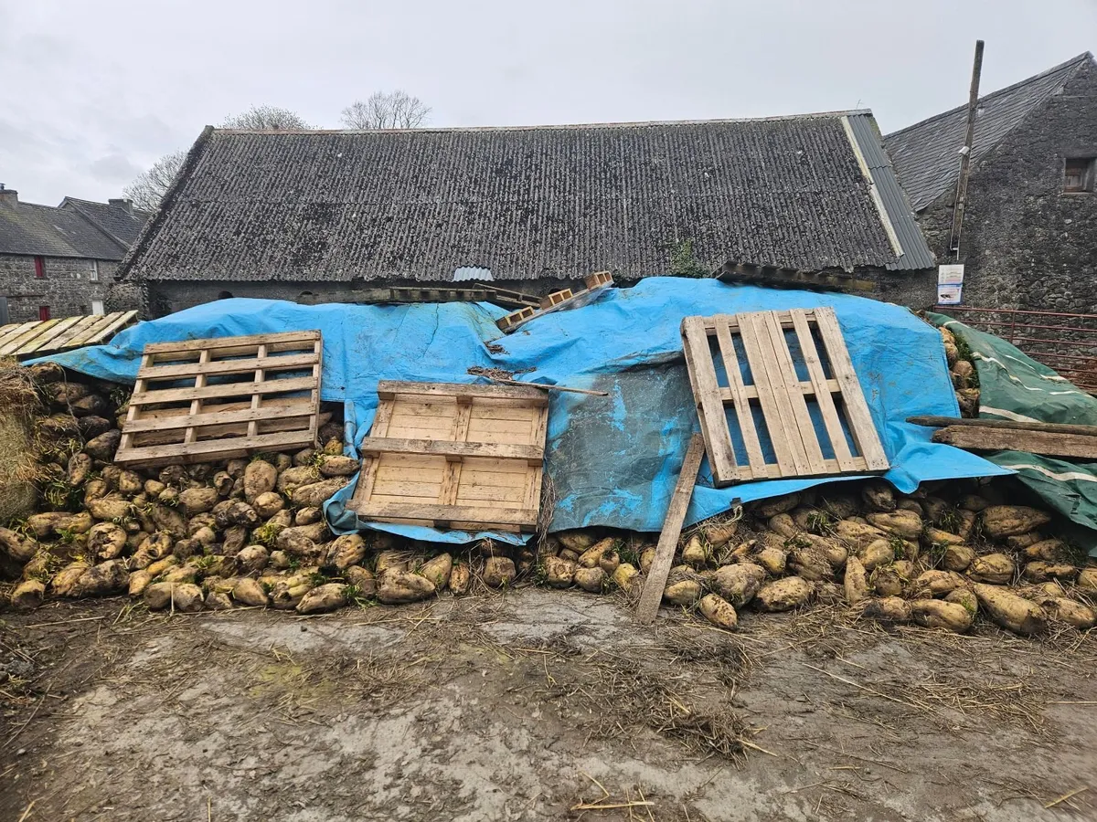 Fodder Beat - Image 3