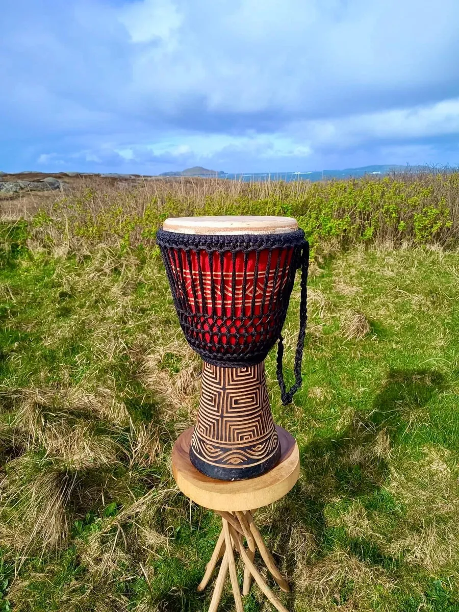 Large Carved Djembe Drum with case - Image 1