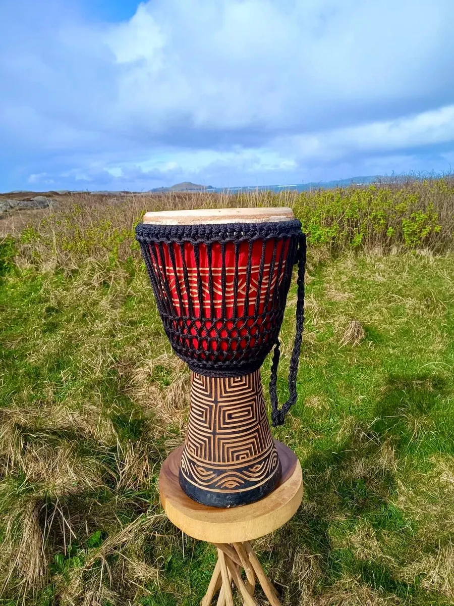 Large Carved Djembe Drum with case - Image 3