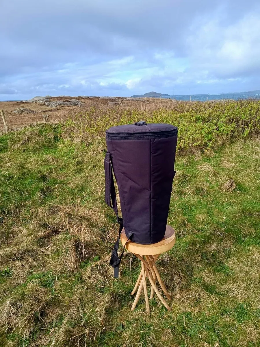 Large Carved Djembe Drum with case - Image 4