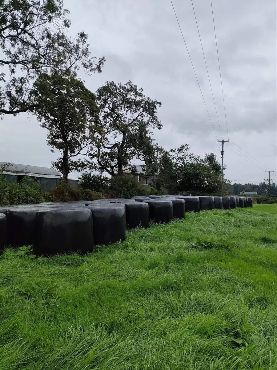 Silage for sale - Image 1