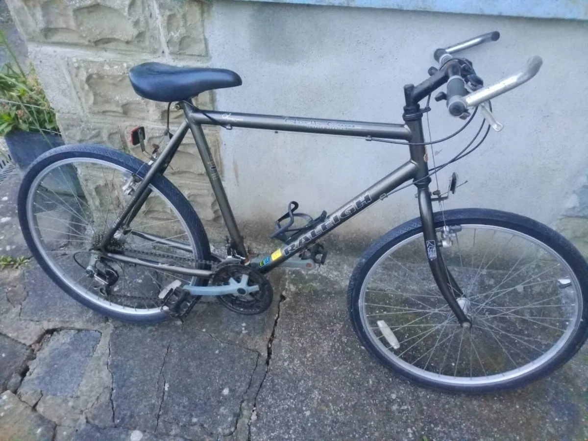 Retro Raleigh MTB - Image 1
