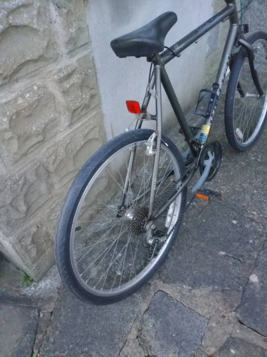 Retro Raleigh MTB - Image 2