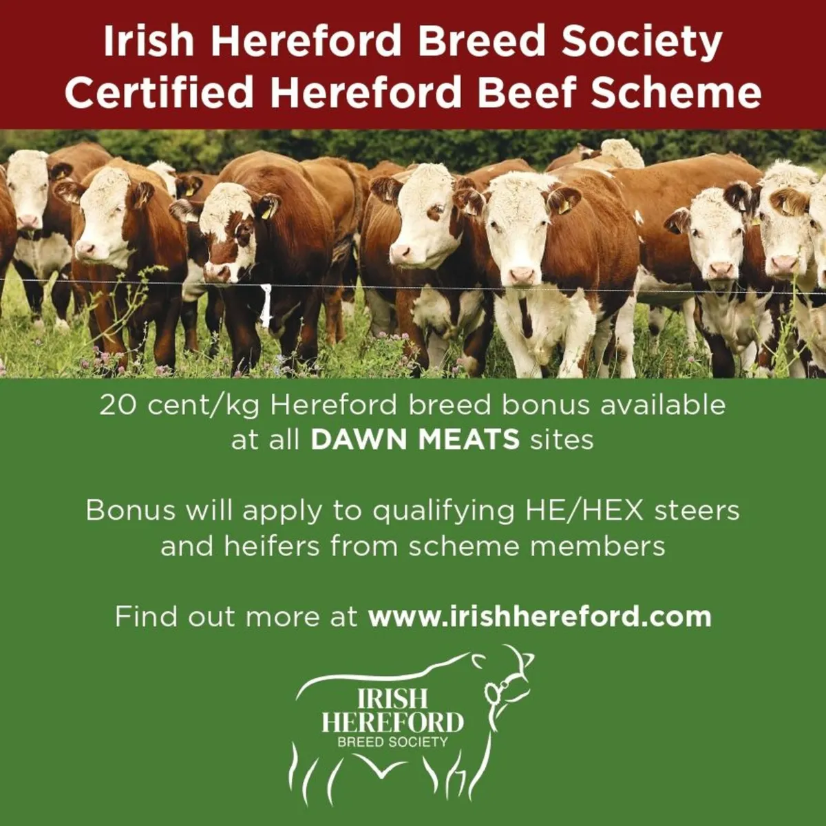 Certified Hereford Beef Scheme - Image 1