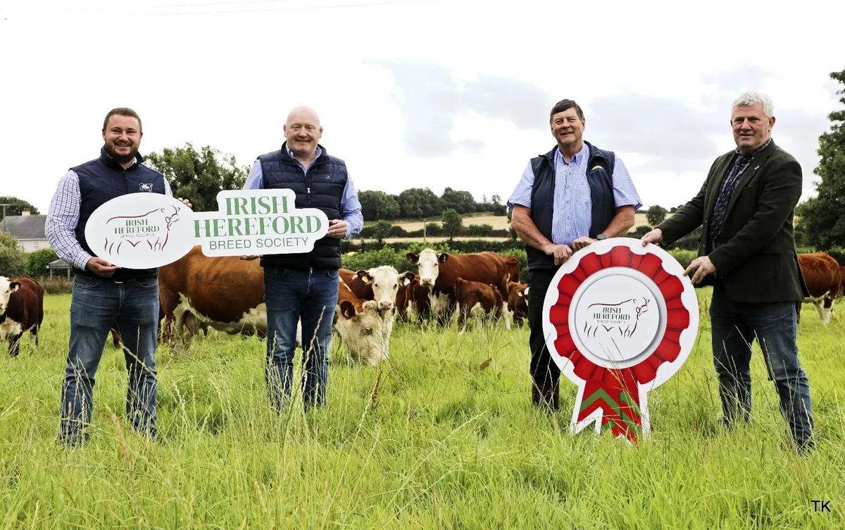 Certified Hereford Beef Scheme - Image 4