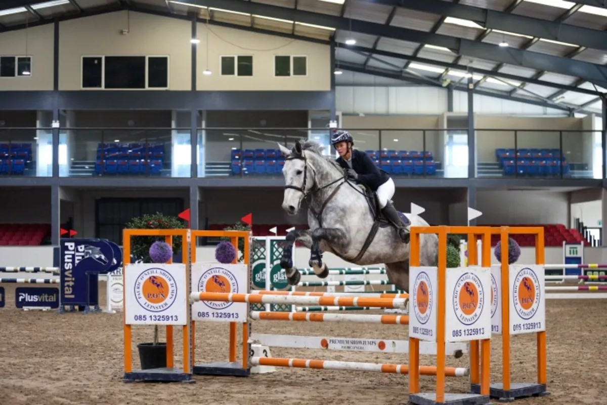 Stunning all rounder for sale - Image 1