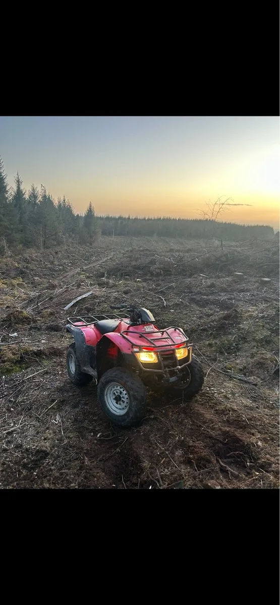 Honda TRX 250 2014 - Image 2