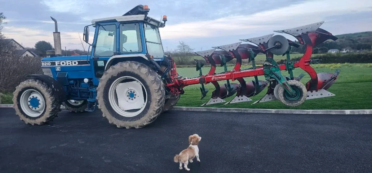 Kneverland model e with number 8 body's 16 inch - Image 2