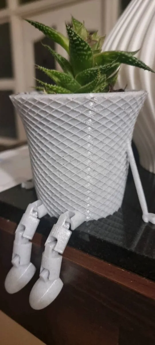 Lace Aloe Plants in Fun Decorative Pots - Image 1