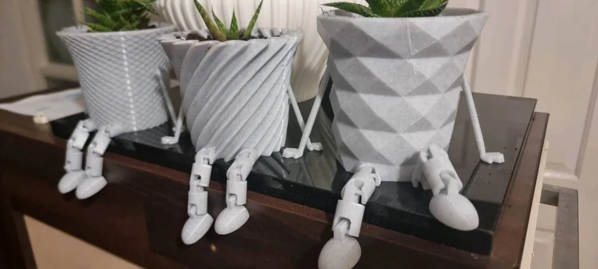 Lace Aloe Plants in Fun Decorative Pots - Image 3