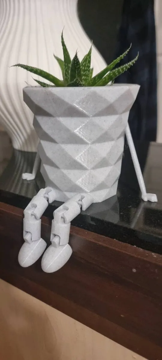 Lace Aloe Plants in Fun Decorative Pots - Image 2