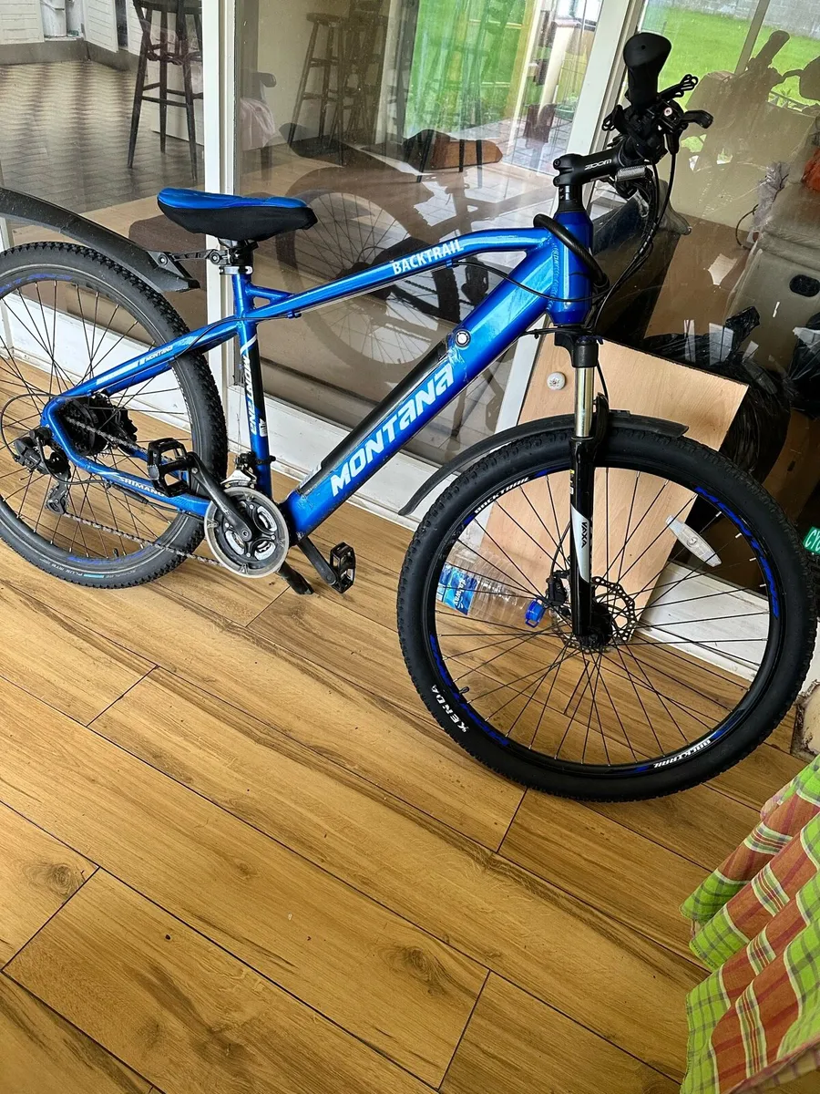 Electric bicycle paddle assist - Image 1