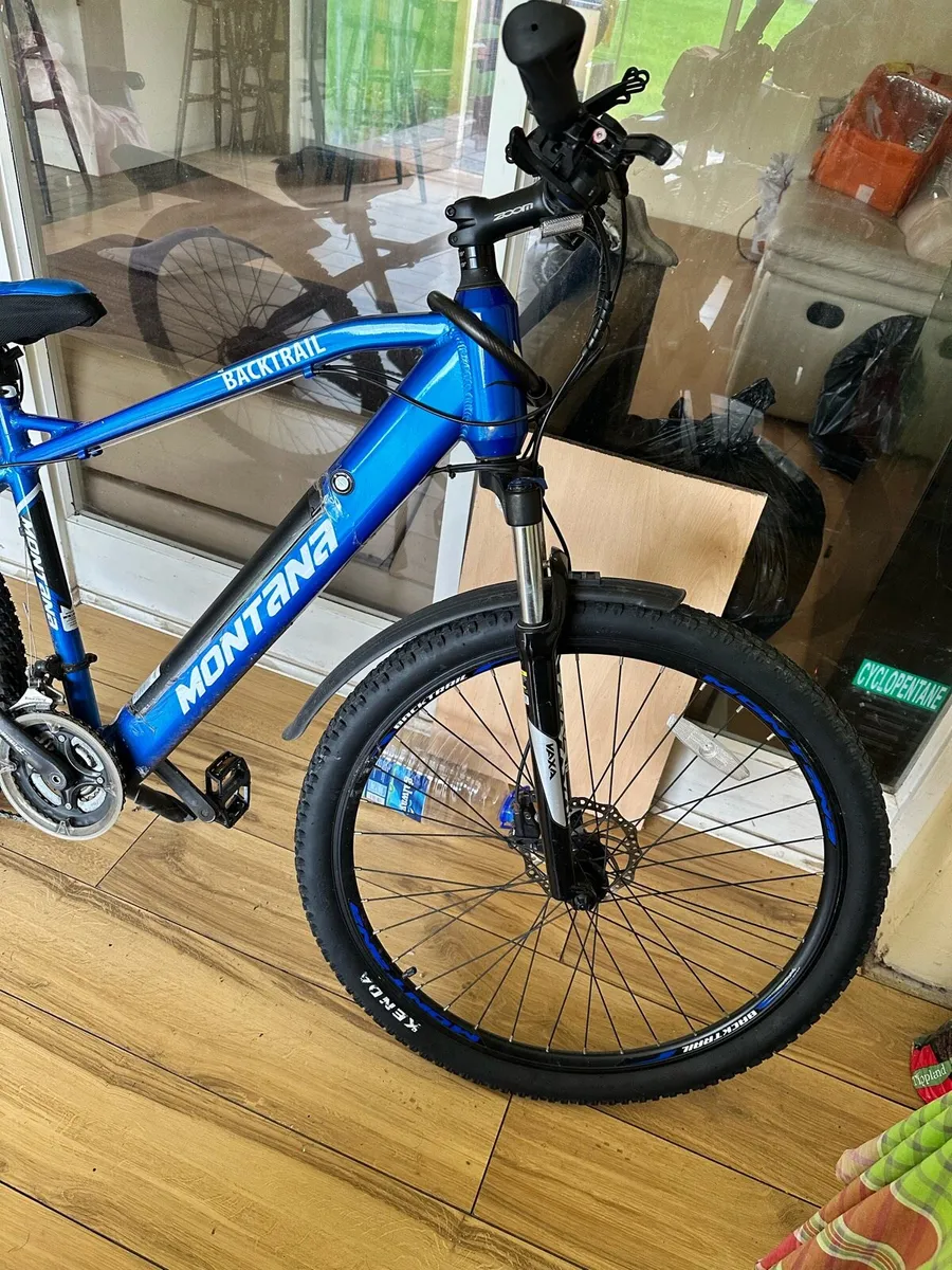 Electric bicycle paddle assist - Image 2