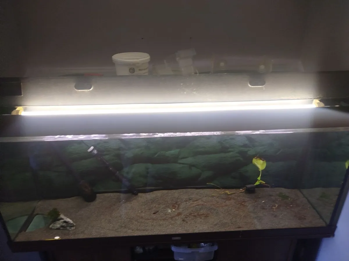 Fish tank 450 litre tank - Image 2