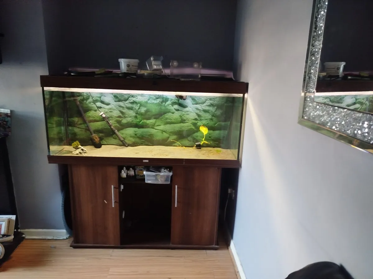 Fish tank 450 litre tank - Image 3