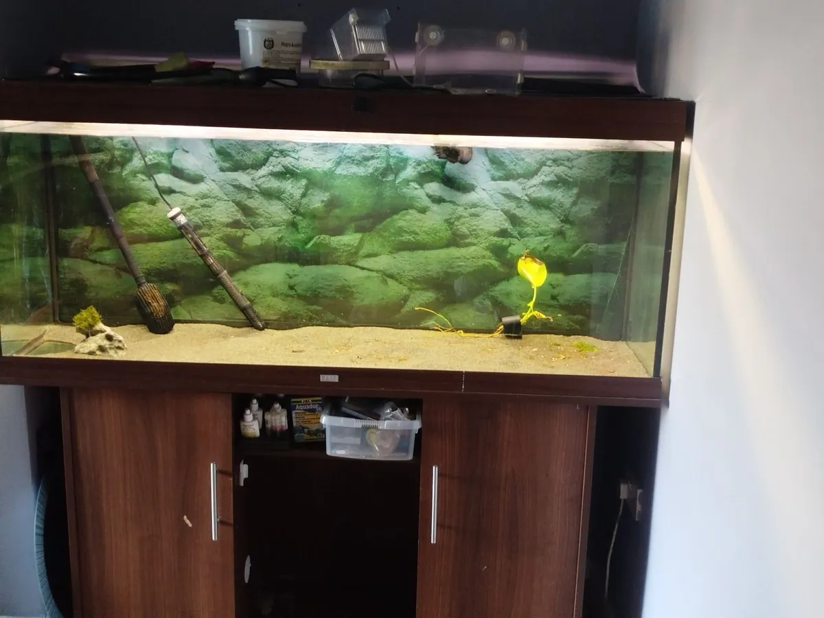Fish tank 450 litre tank - Image 1