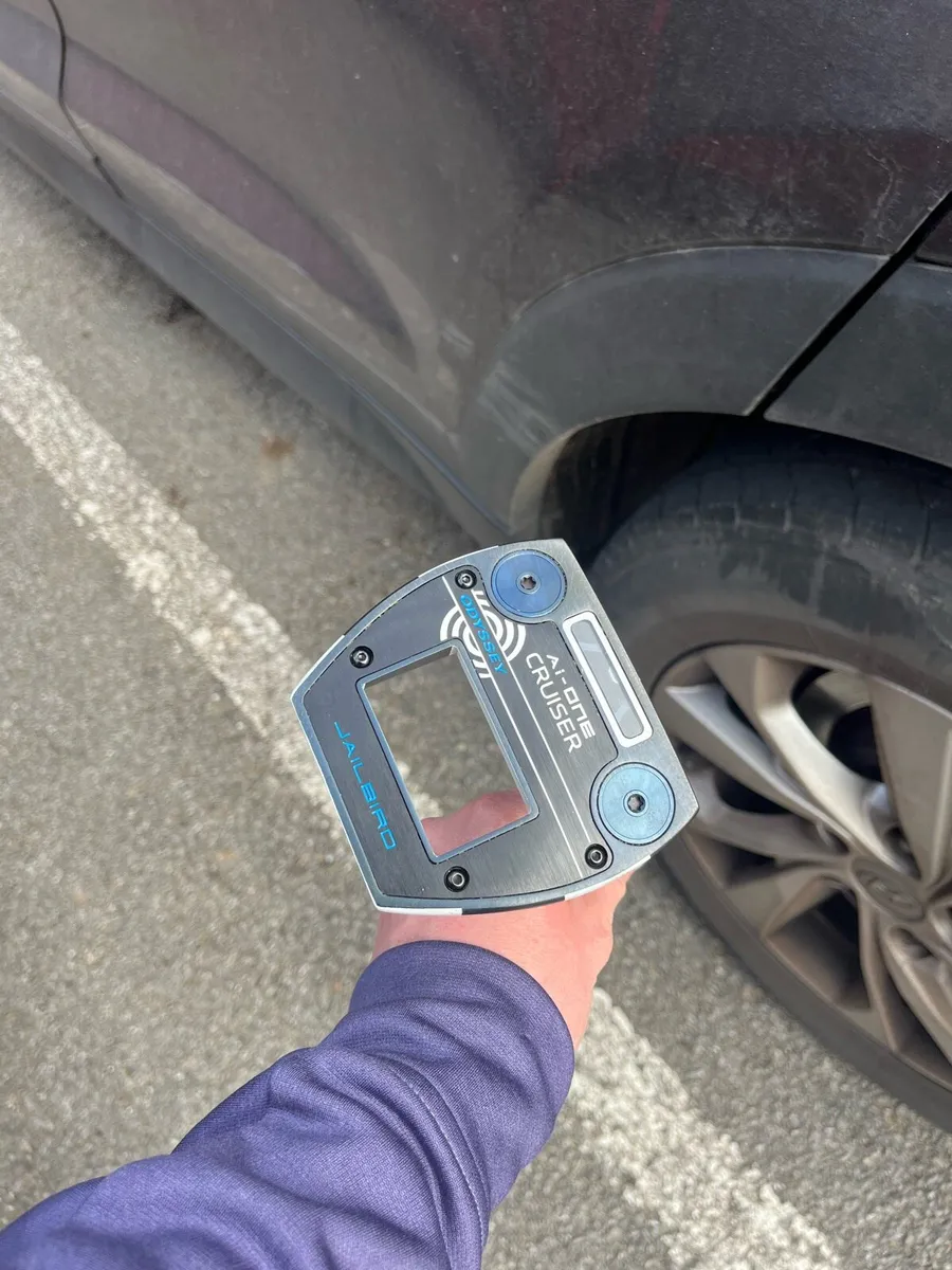 Mini Cruiser Odyssey jailbird - Image 2