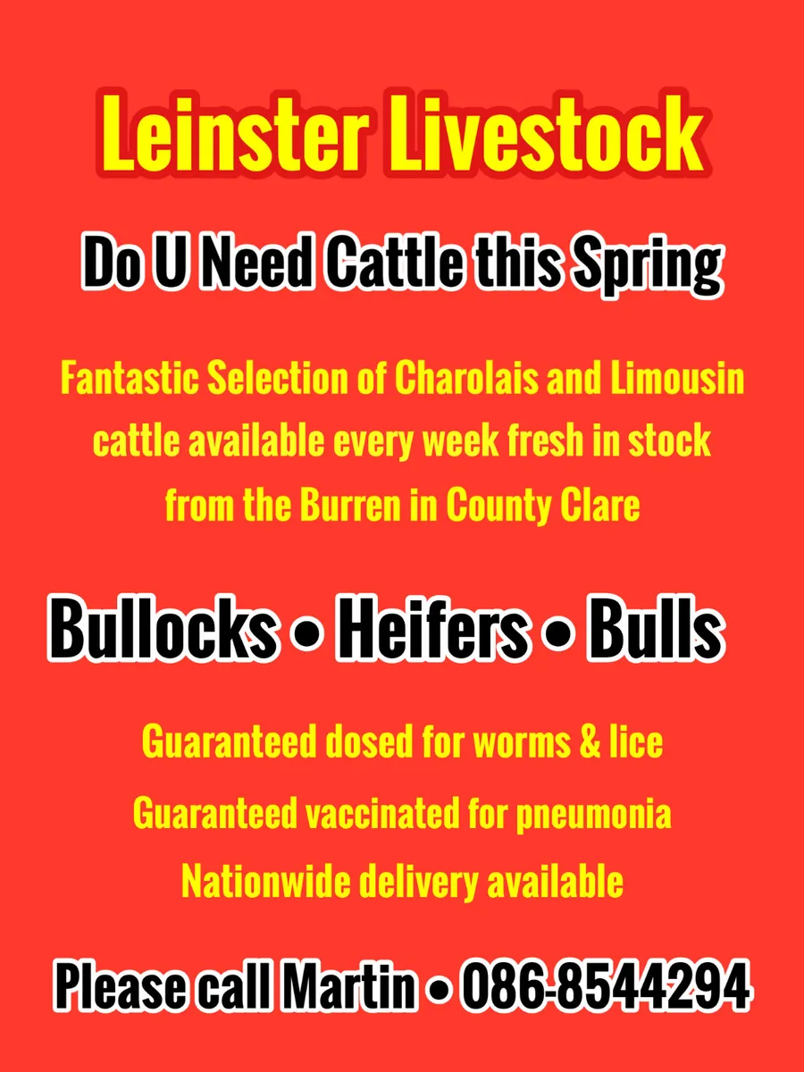 Money Makers - Image 2