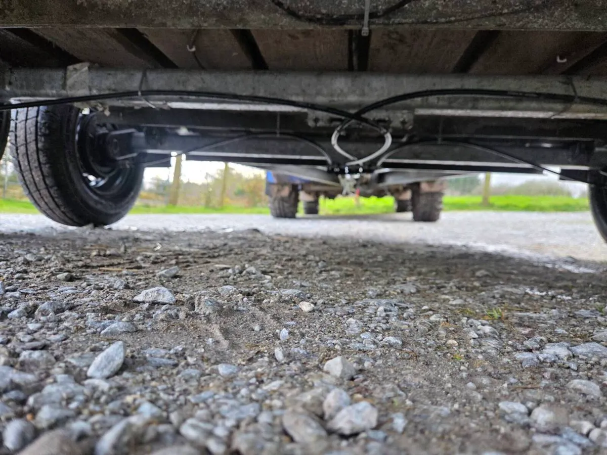 Murphy sheep/cattle/livestock 8x5 - Image 2