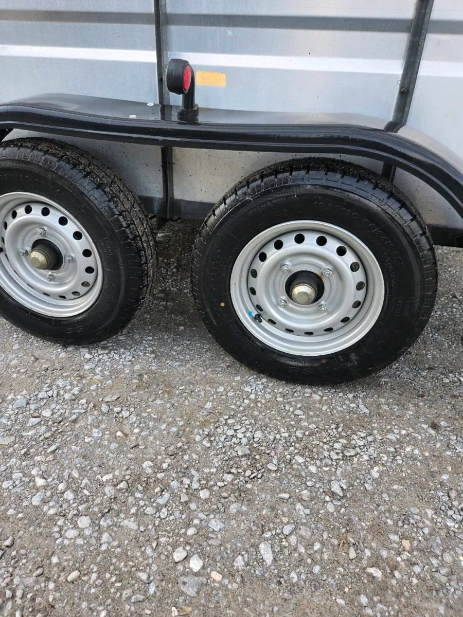 Murphy sheep/cattle/livestock 8x5 - Image 3