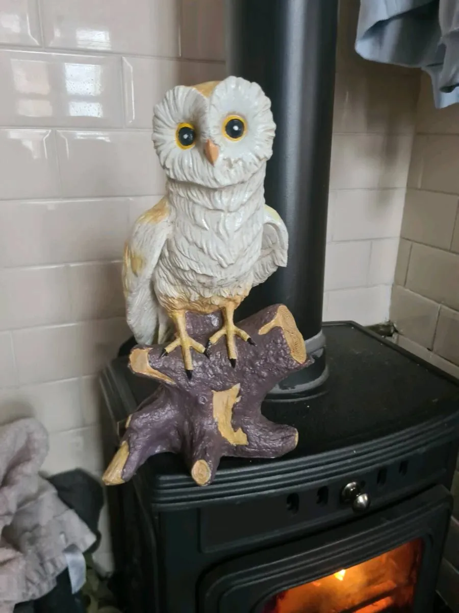 Owl - Image 1
