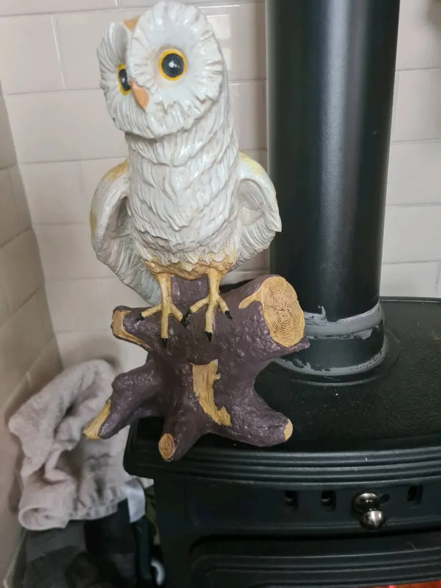 Owl - Image 3