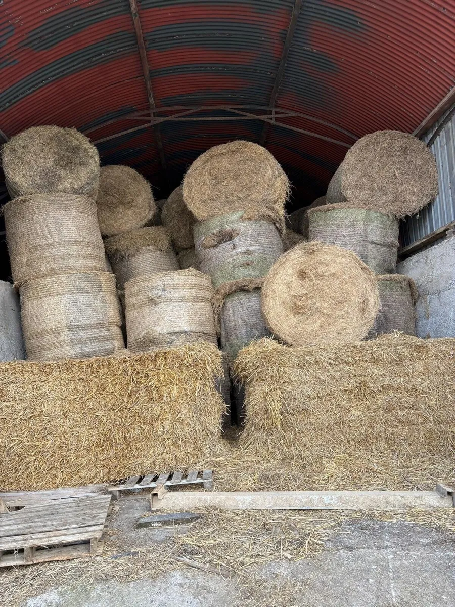 Hay - Image 4