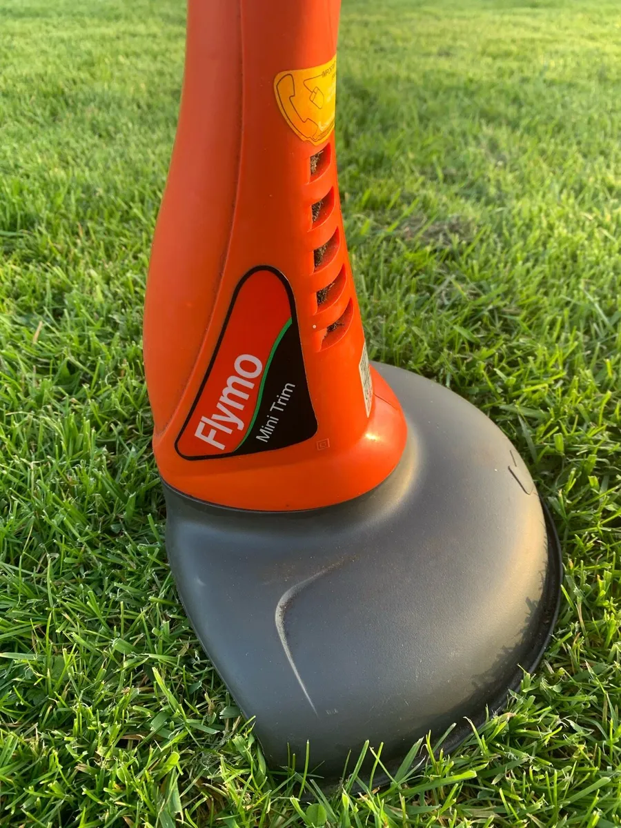 New mini strimmer - Image 2