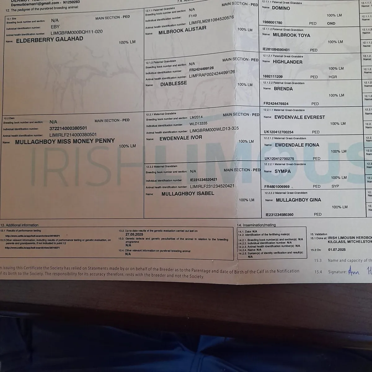 carrigallen mart Easter Monday - Image 4